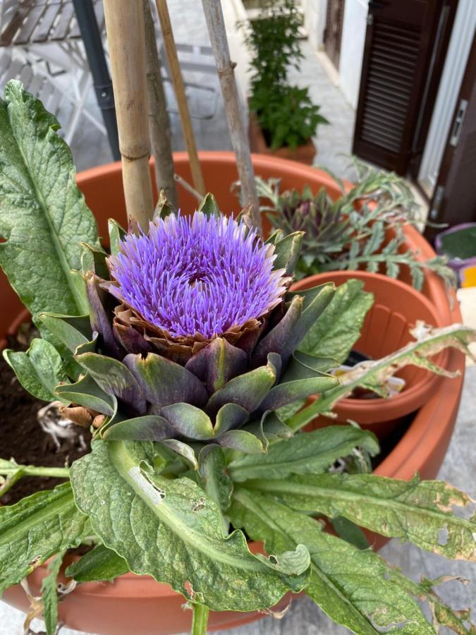Officinale Rome Apartment, Pineta Sacchetti المظهر الخارجي الصورة