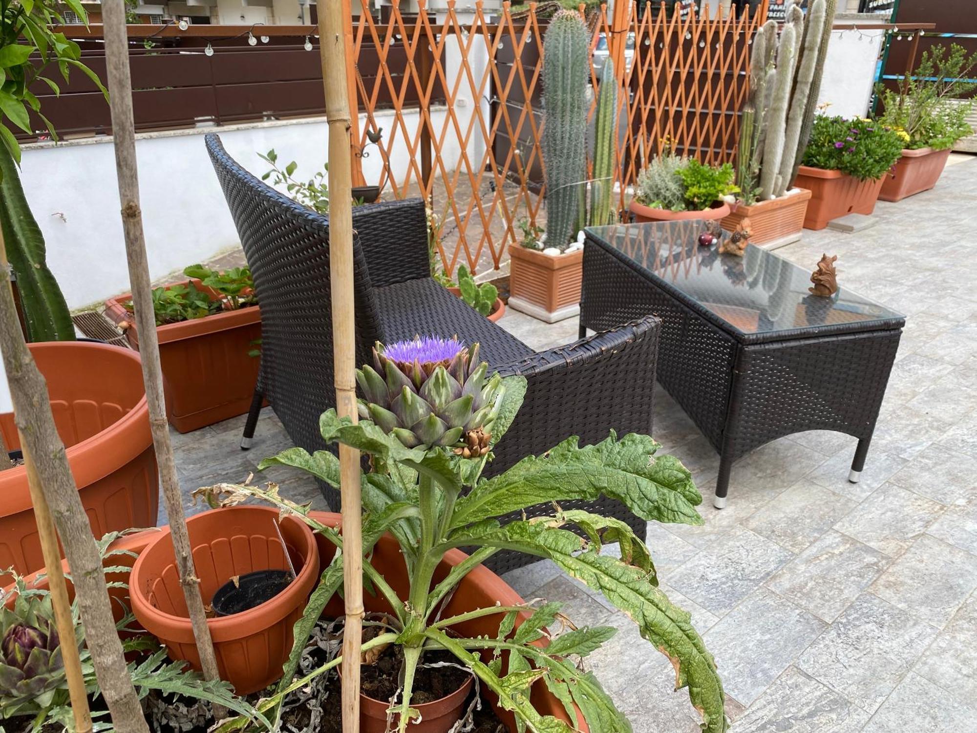 Officinale Rome Apartment, Pineta Sacchetti المظهر الخارجي الصورة